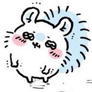 ⭐️Rocky Raccoon⭐️さんのプロフィール画像