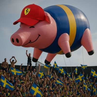 estambul05's profile picture. Hincha y socio de Boca Hablo de F1 en @corraquiencorra