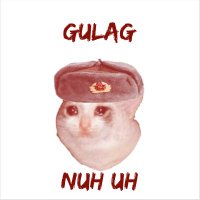 Gulag LFT (@gulagr6) 's Twitter Profile