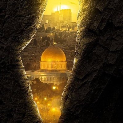 thelight1924501's profile picture. Trying to be slave of Almighty of Allah,