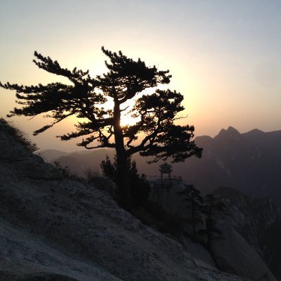 yangwenhua8's profile picture. BTC  Long term hodler