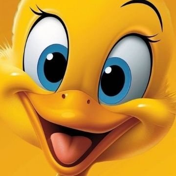 gupiechixz's profile picture. I believe in annoyance @ 1st sight 😒