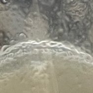 J367765J's profile picture. 22, ftm, bi