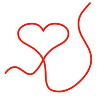 De rode draad (@derodedraadnl) 's Twitter Profile Photo De rode draad (@derodedraadnl) 's Twitter Profile Photo