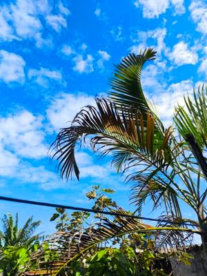 PgMamador0304's profile picture. Sou da Praia Grande em busca de sexo com homens, sou passivo e não tenho local