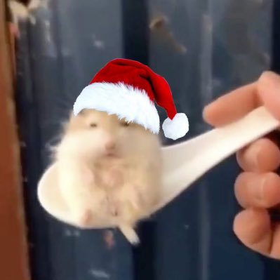 santieclauswomp's profile picture. 