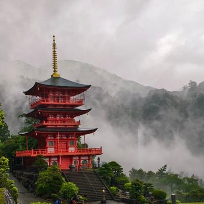 gaia33435216545's profile picture. 