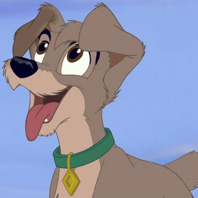 Scamptivism's profile picture. 