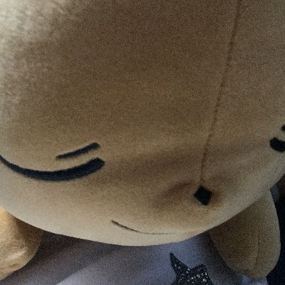 EeveeMaster22's profile picture. silly lil kitty cat :3
seventen. :b