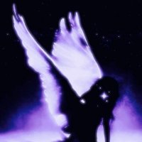 Shadows Secret Spot (@shadowgoespriv) 's Twitter Profile