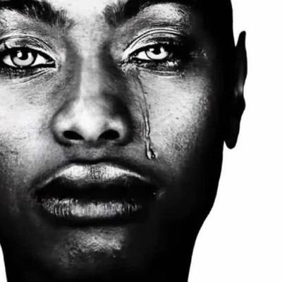 NOVAFORCE8's profile picture. 