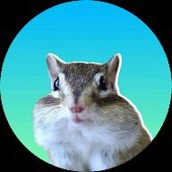 rachanamahla's profile picture. 🇮🇳•💚