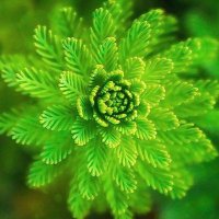 lien【りあん】💜🦄🫧 (@4efe2crexp48160) 's Twitter Profile Photo