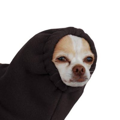 gilmorius's profile picture. 