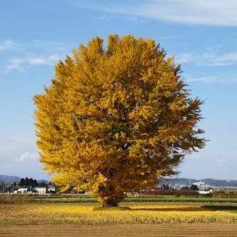 2012年からのアカウントが使えなくなり新しくしました。
山・温泉・お花・ゆず・BE:FIRSTが好きなお気楽主婦です。
🙇面識のない方はダイレクトメールご遠慮ください🙇