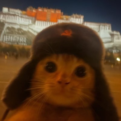 car_cn015's profile picture. Un chico algo raro, amante de los videojuegos y las cosas geek.