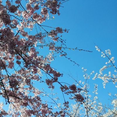 Rzr90zXmU114607's profile picture. 