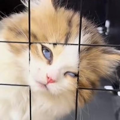 แจมินโซผัวさんのプロフィール画像