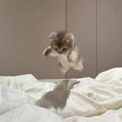 アラサーちゃん。