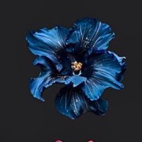 🌷 (@ooleuu) 's Twitter Profile Photo