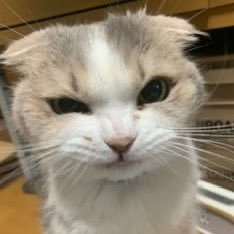 brtnee_z's profile picture. #namtanfilm , #milklove , #emibonnie and other GL enthusiast || I’m currently invested in #UsTheSeries 🦋🍉|| My ❤️‍🩹 is weak for #filmracha 🐼|| 🇺🇸🇨🇳