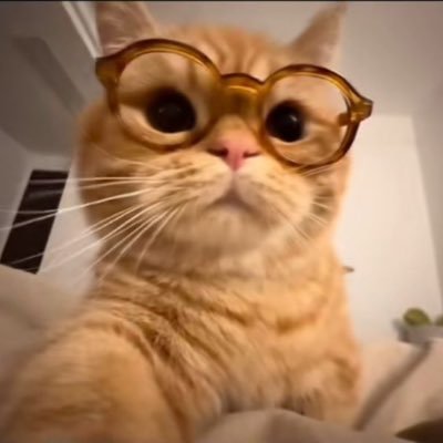 alrightbut1's profile picture. stay humbled or get rumbled ‼️