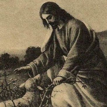 mementosmort's profile picture. Thanking Him for all His infinite mercy. The only way to live and love is through Him.