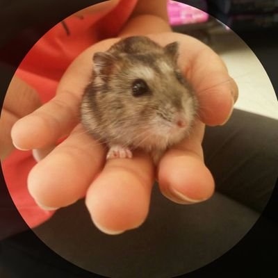 789overdrive's profile picture. ongoing scizophrenia disorder
casual youtuber, gamer, lifestyle, travel and so on, love innovation and tech savvy...