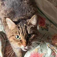D z i a d d y (@majszop) 's Twitter Profile