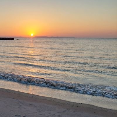 ZoneM24754's profile picture. 次はVBAの勉強を頑張ります。