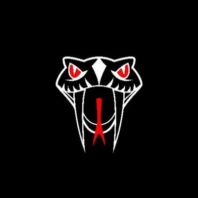 Richmond Vipers | Richmond, Virginia Based Esports & Apparel Brand | #BiteOnDown 🐍 | #SetTheStandard