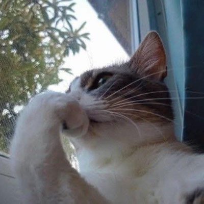 Jessolator's profile picture. The dreamers finally wake up