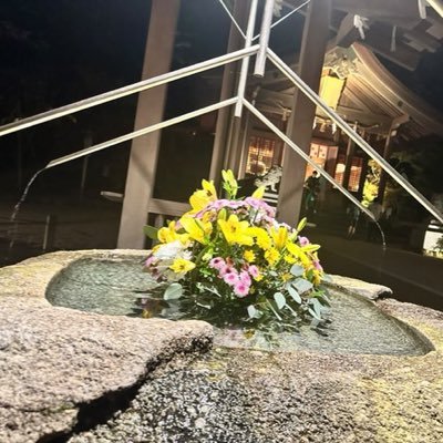 副業🌸自由な暮らし