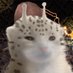 viizion (glorp/acc) (@viizicn) Twitter profile photo viizion (glorp/acc) (@viizicn) Twitter profile photo