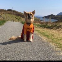 paige (@paige__67) 's Twitter Profile