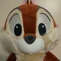 チーデー (@wj5eto2oazo13fp) 's Twitter Profile