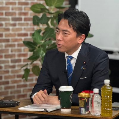 衆議院議員(神奈川県第11区) Shūgiin giin (Kanagawa ken dai 11-ku)