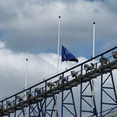 dollydropsxx's profile picture. 