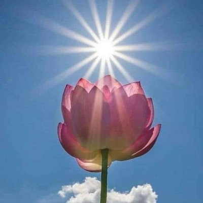 raviadithya27's profile picture. 