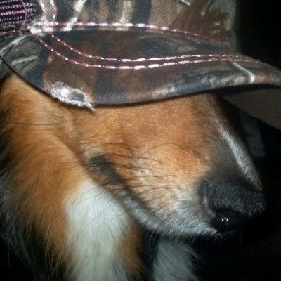 YerPalMax's profile picture. ughh um mguhgh uhggg brwhuuh