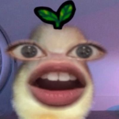 acisanie Profile Picture