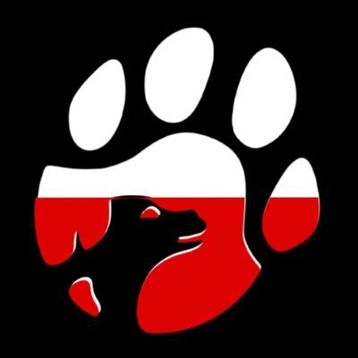 PinionzkiStudio's profile picture. Creators of Twój Stary to Andrzej Palpatine, Leiokalipsa, Grivek,  Spirytus BiG, Korwin vs Putin and many more.
By Pinionzki Studios
Property of Pinionzki Co.