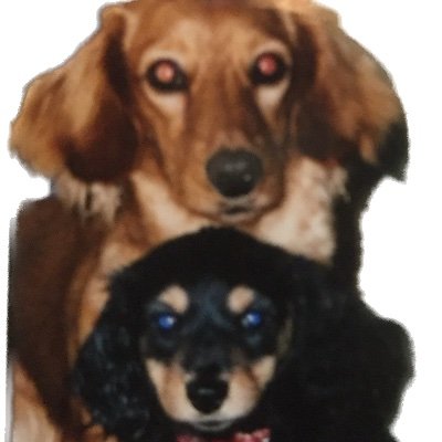 as80HUKpK420180's profile picture. 