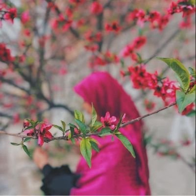 فَاصْبِرْ إِنَّ وَعْدَ اللَّهِ حَقٌّ(روم۶۰) صبر کن ک وعدهی خدا حق است...