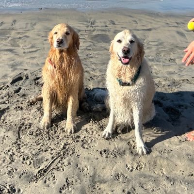 Scottyy_S's profile picture. BING BONG