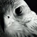 Ali Almazrouei - @AAAlMAZROUEI - Twitter