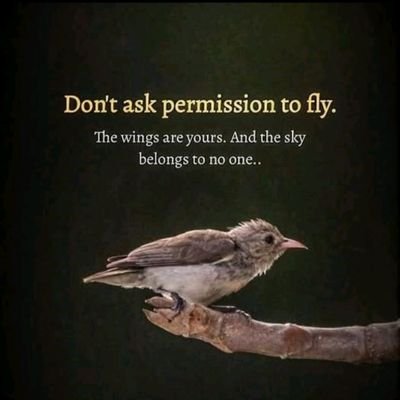 Rothamhouse's profile picture. ...my family is my society