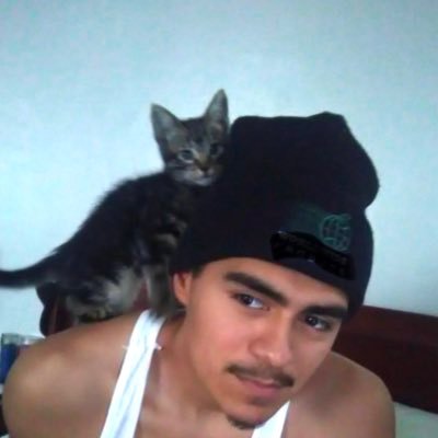 JoeAngel00's profile picture. just for fucks