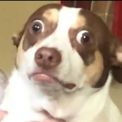 patchedup404's profile picture. 