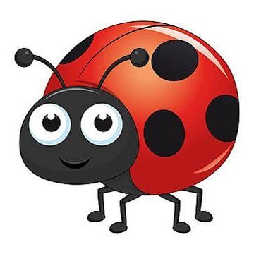 winds_le's profile picture. solix